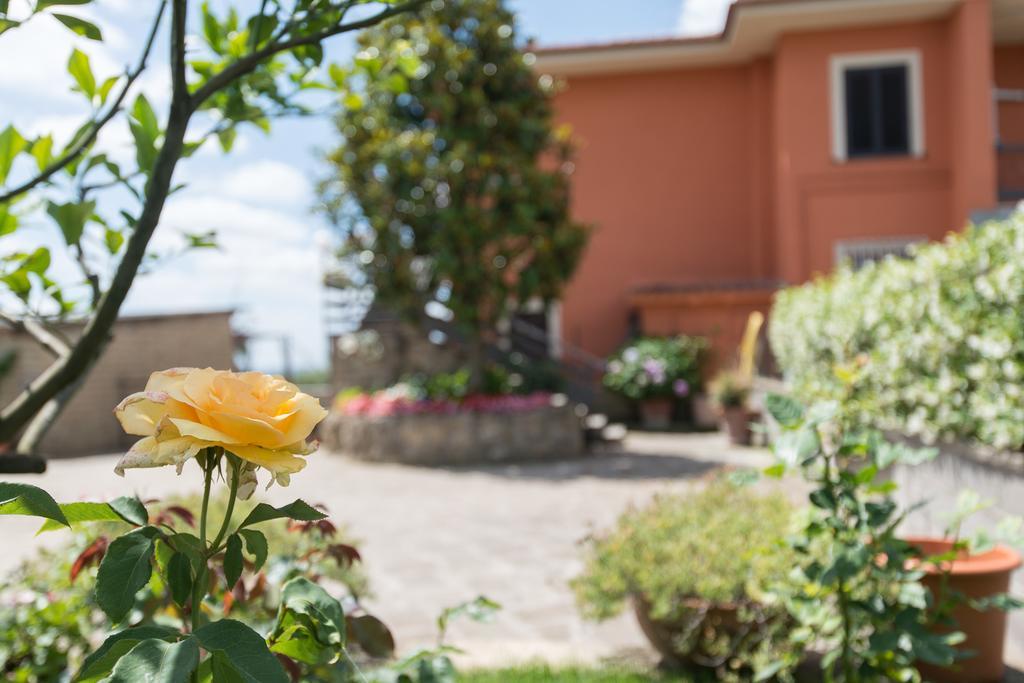 Bed And Breakfast Nonna Loreta Formello Esterno foto