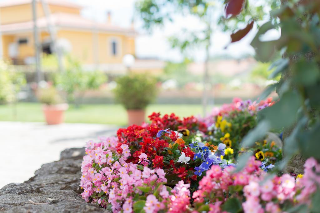 Bed And Breakfast Nonna Loreta Formello Esterno foto